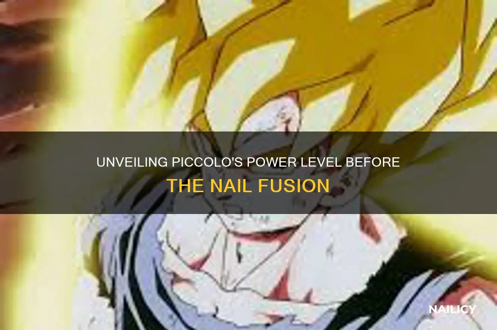 what was piccolo power level before nail