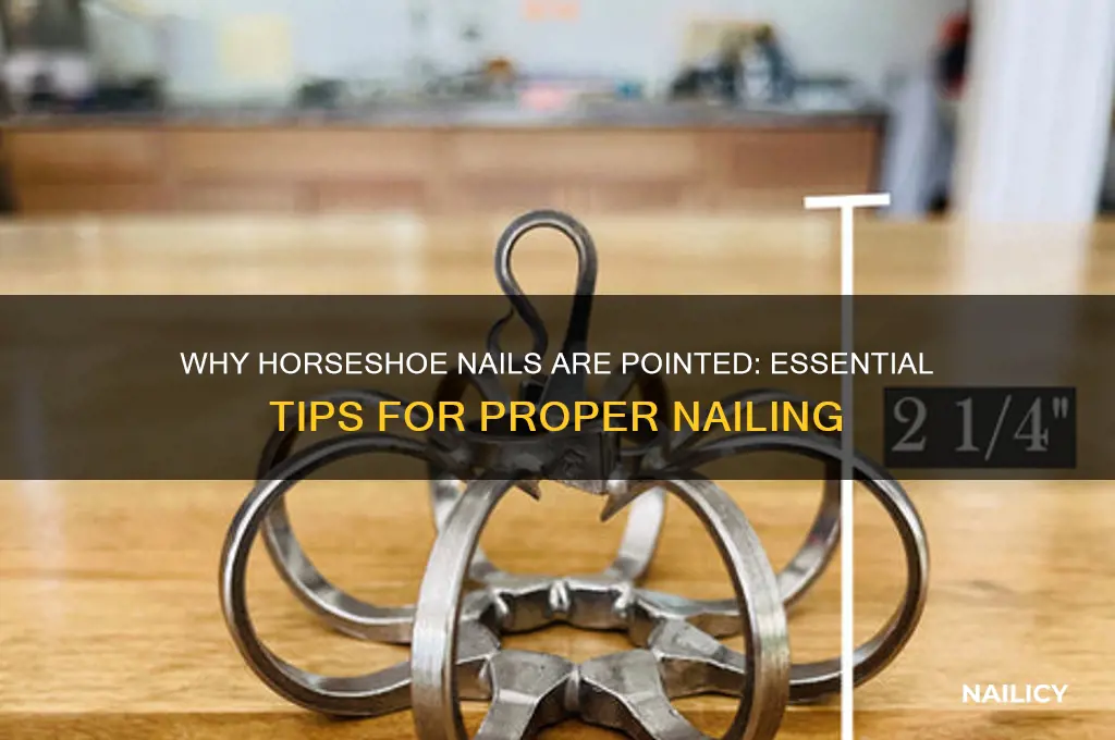 what what are horseshoe nails pointed when nailing