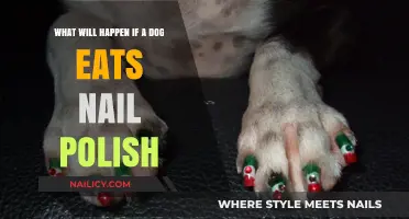 Dog Eats Nail Polish: Potential Risks and Immediate Actions to Take