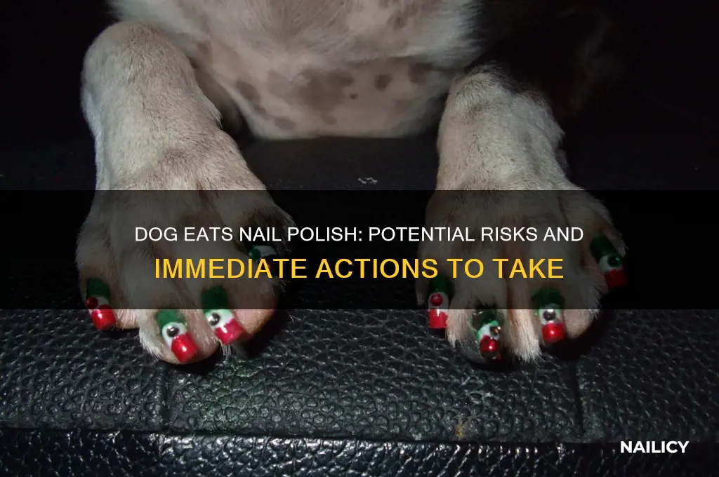 what will happen if a dog eats nail polish