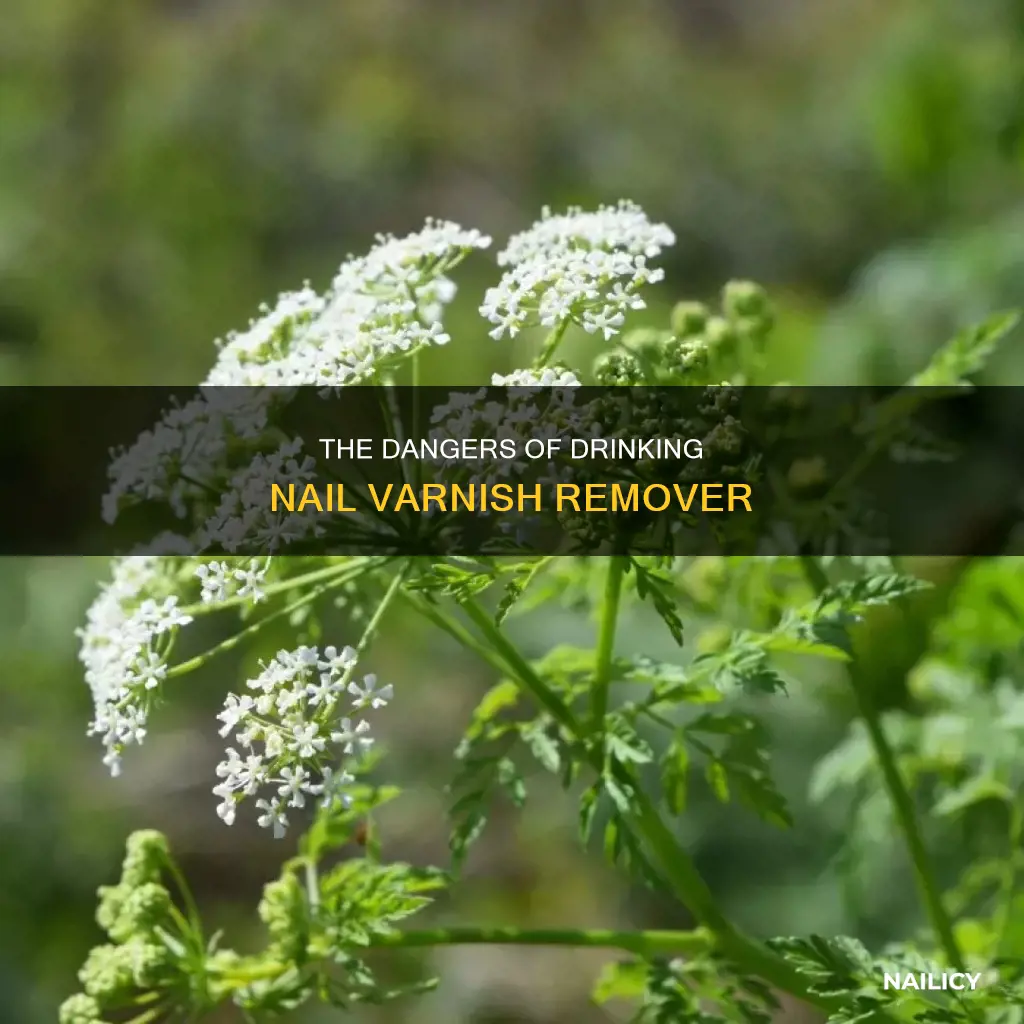 what will happen if i drink nail varnish remover