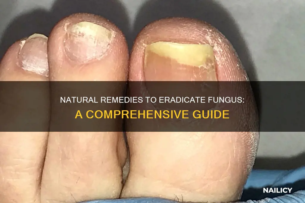 what will kill finger nail fungus