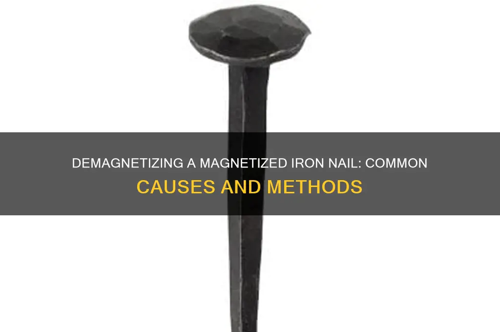 what would likely demagnetize a magnetized iron nail