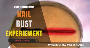 Unveiling Nail Rust Experiment Insights: Lessons Learned and Practical Applications