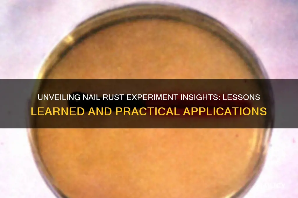 what you learn from nail rust experiement