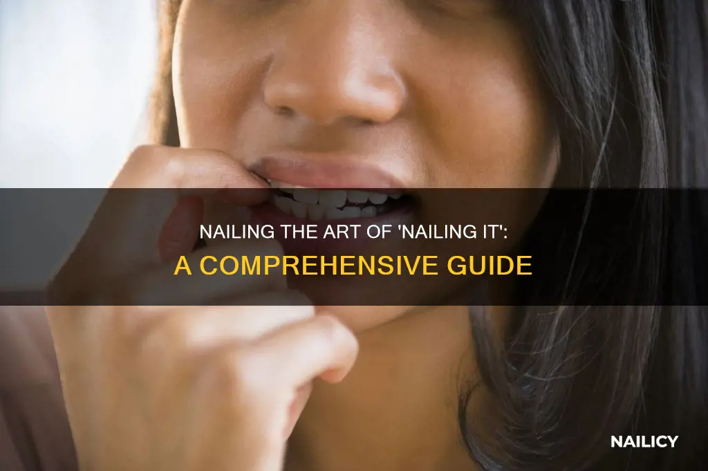 what you mean with nailed it