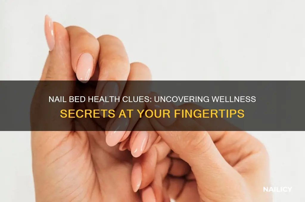 what your nail bed says about your health