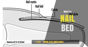 Understanding Nail Beds: Structure, Function, and Common Issues Explained