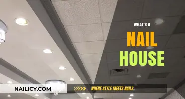 Understanding Nail Houses: The Stubborn Holdouts in Urban Development