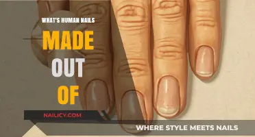 Unveiling the Composition: What Are Human Nails Made Of?