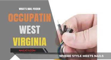 Nail Feeder Occupation in West Virginia: Unraveling the Mystery