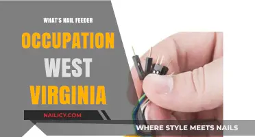 Exploring the Nail Feeder Occupation in West Virginia: A Unique Job Insight