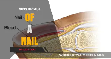 Understanding the Core: What's the Center of a Nail?