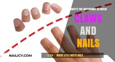 Claws vs. Nails: Uncovering the Distinctive Features and Functions