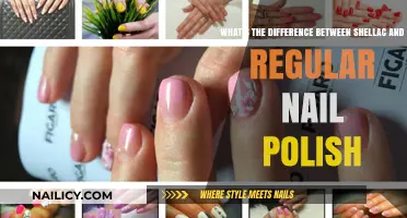 Shellac vs. Regular Nail Polish: Key Differences Explained