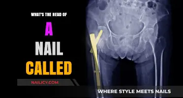 Understanding Nail Anatomy: What's the Head of a Nail Called?