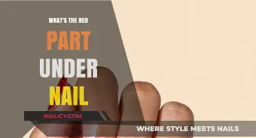 Understanding the Red Part Under Your Nail: Causes and Concerns