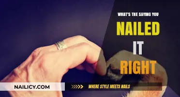 You Nailed It Right: Decoding the Perfect Execution Saying