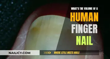 Unveiling the Mystery: How Thick is a Human Finger Nail?