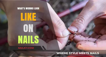 Identifying Nail Worms: Appearance, Symptoms, and Treatment Options Explained