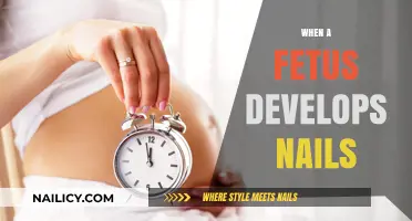 When Do Fetal Nails Form? A Guide to Prenatal Development