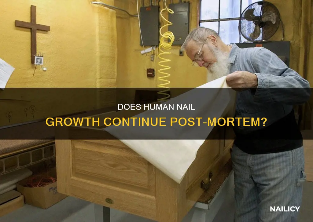 when a person dies does the nails keep growing