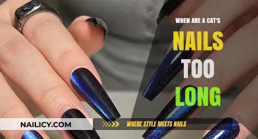 Cat Claw Length: When Do Nails Need Trimming?