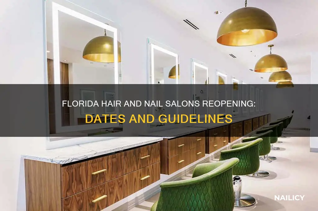 when are hair and nail salons opening in florida
