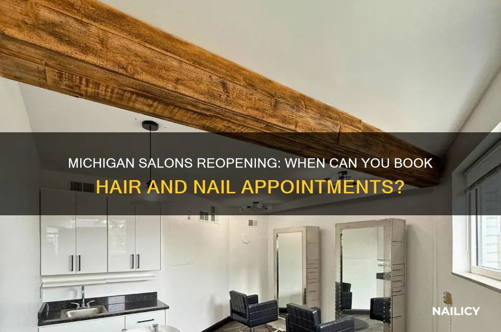 when are hair and nail salons opening in michigan