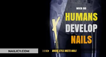 The Evolution of Human Nails: A Historical and Scientific Journey