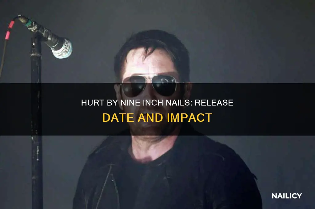 when did hurt by nine inch nails release