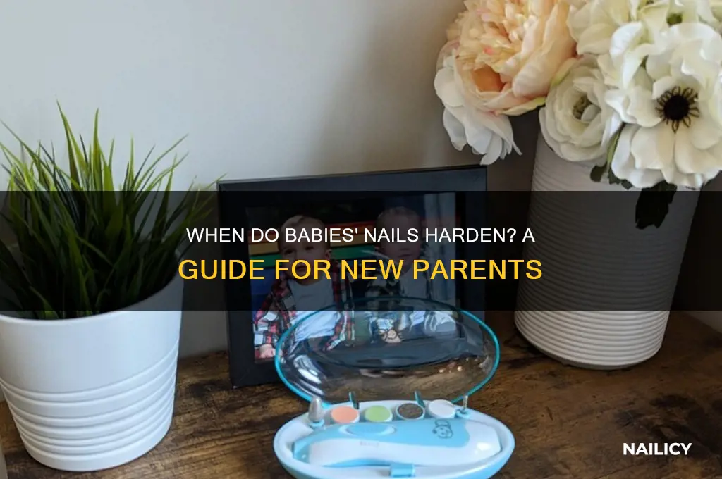 when do babies nails harden