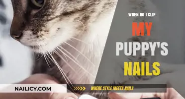 When to Clip Your Puppy's Nails: A Complete Guide