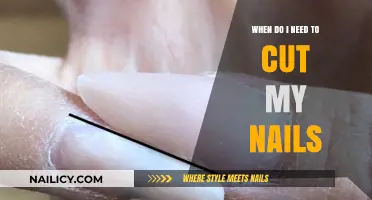 Perfect Nails: Trimming Time and Techniques
