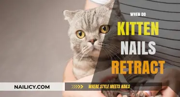Understanding When Kitten Nails Retract: A Feline Growth Guide