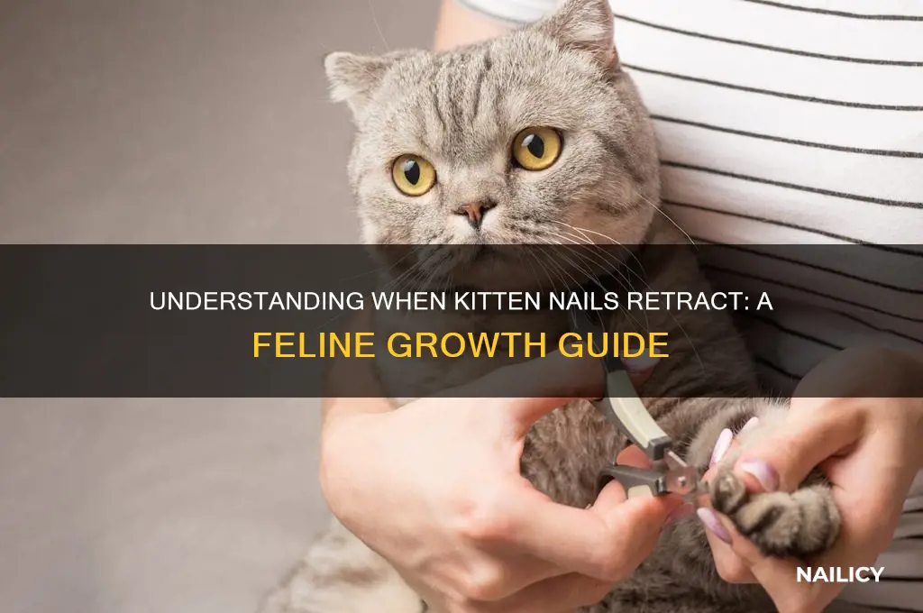when do kitten nails retract