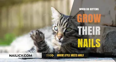Kittens' Nail Growth: When Do They Need Trimming?