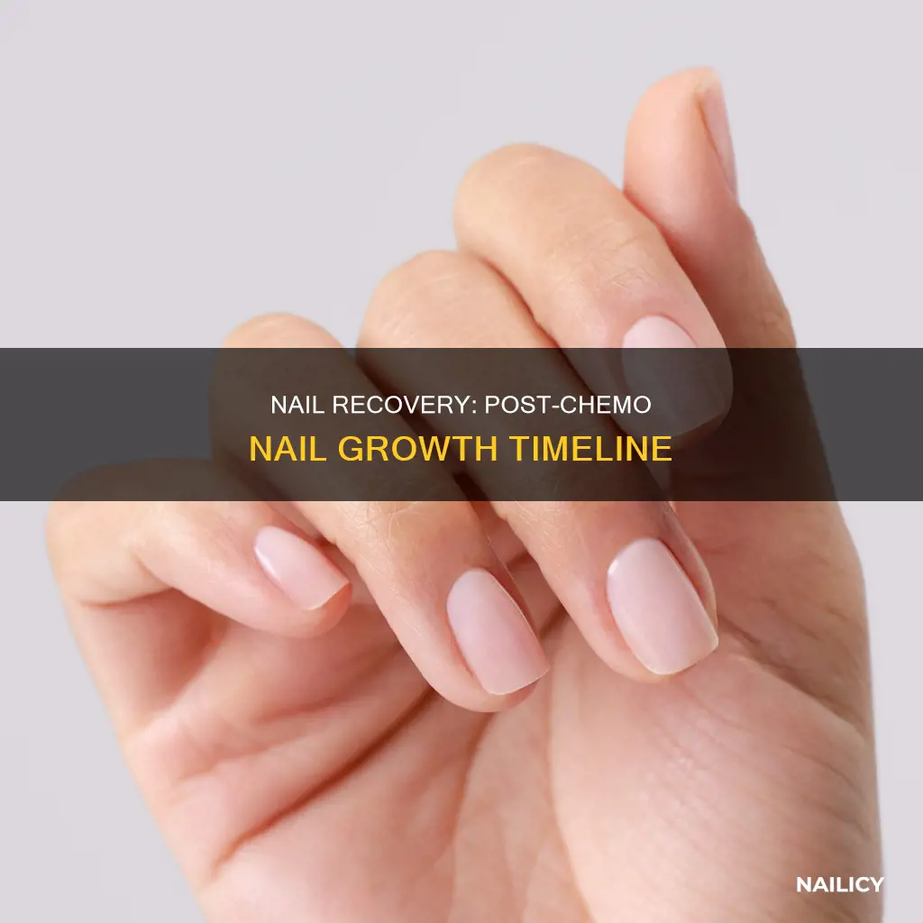 when do nails grow back after chemo