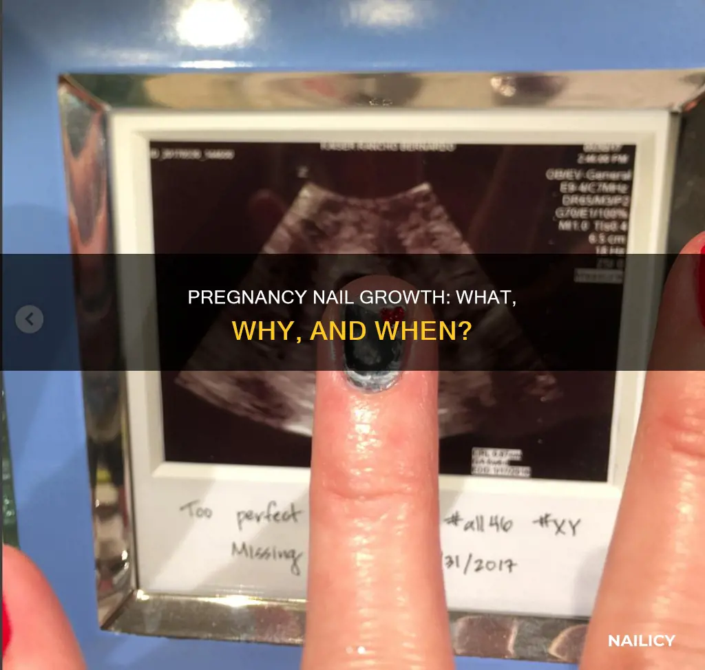 when do nails grow in pregnancy