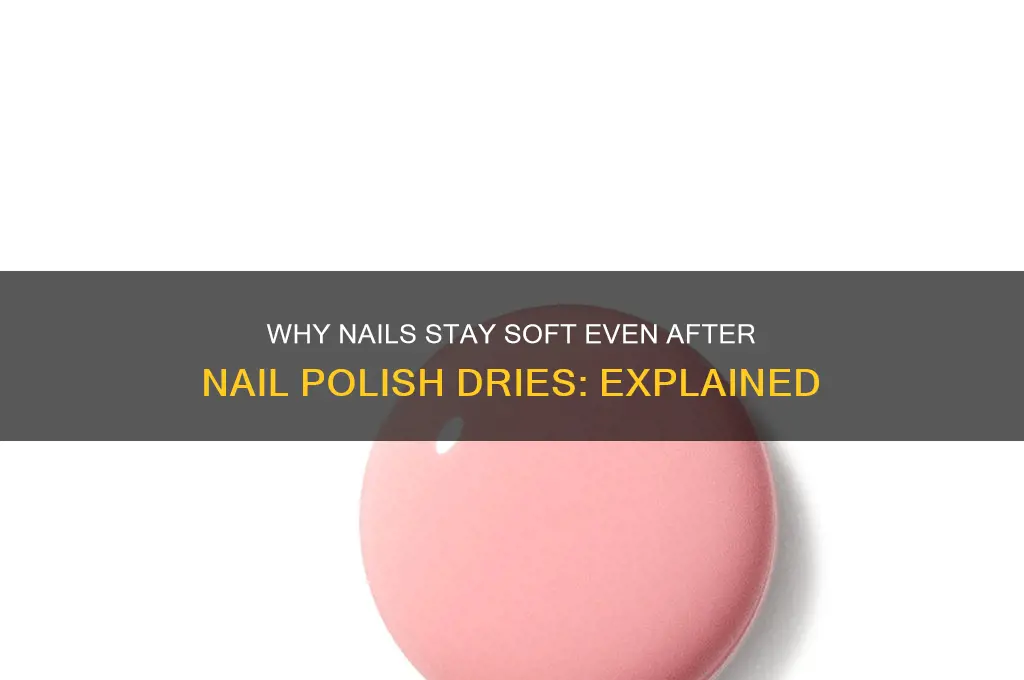 when do nails not harden when nail polish is dry
