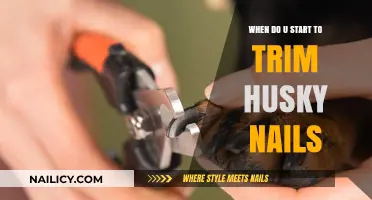 Trimming Husky Nails: When to Start Grooming Your Pup