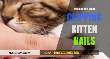When to Start Clipping Kitten Nails: A Gentle Guide