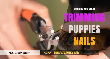 Trimming Your Puppy's Nails: When to Start and How to Do It
