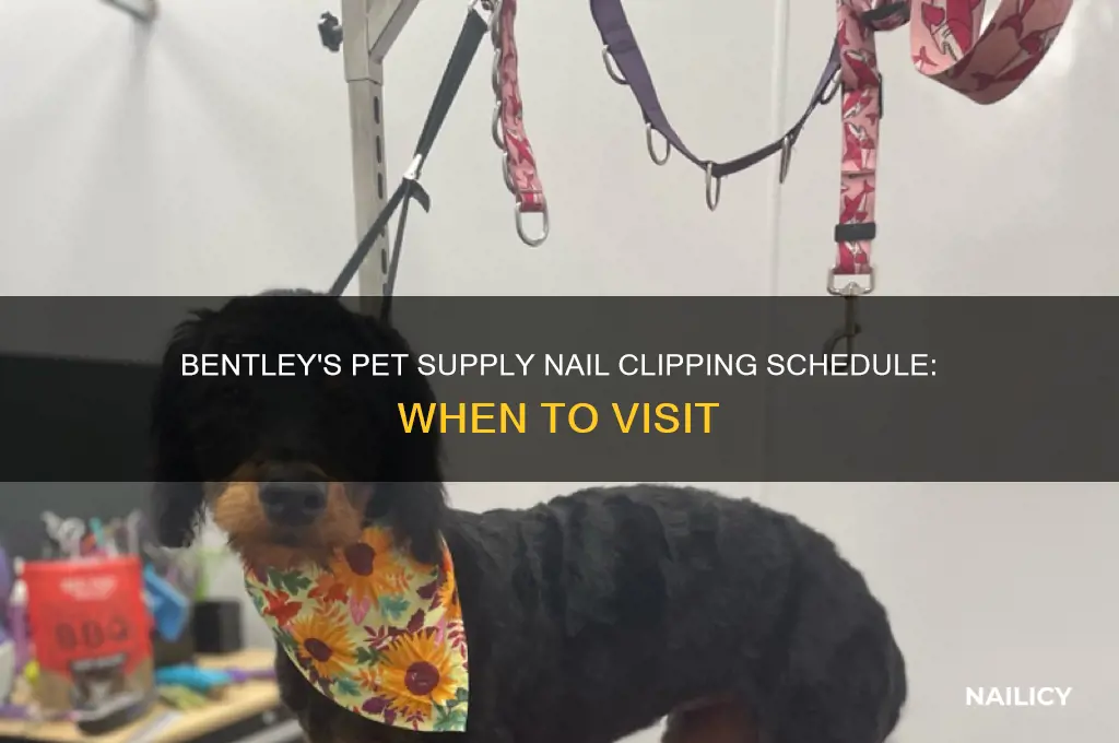 when does bentleys pet supply have nail clippings