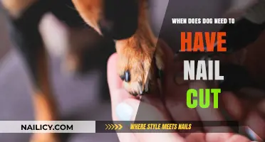 How Often Should You Trim Your Dog's Nails?