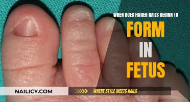 Unveiling the Mystery: When Do Finger Nails Form in the Womb?