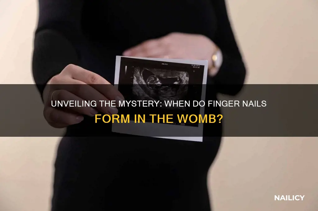 when does finger nails beginn to form in fetus