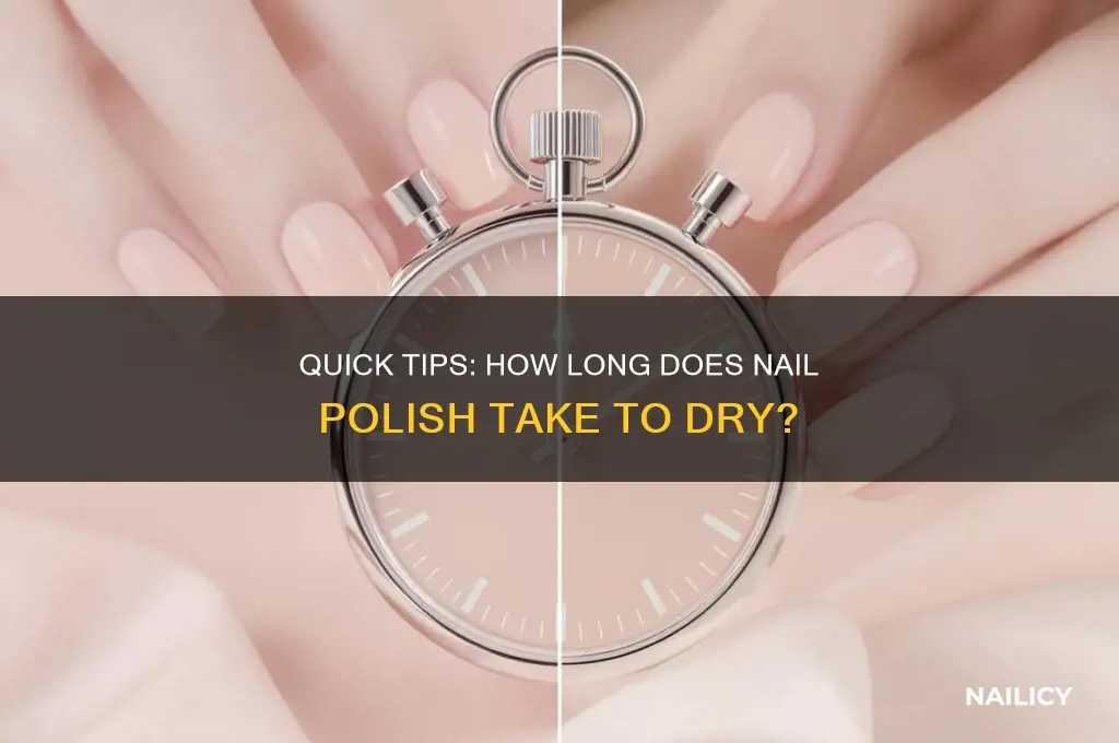 when does nail polish dry