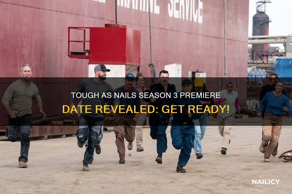 when does tough as nails season 3 start