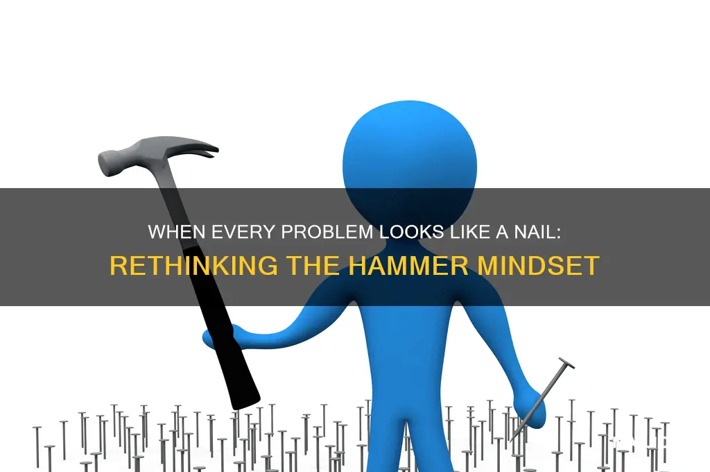 when hammer everything nail